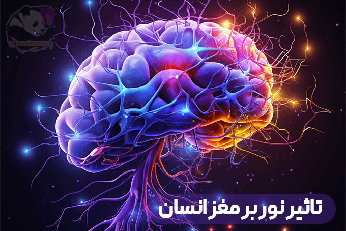 تاثیر نور و رنگ بر مغز انسان